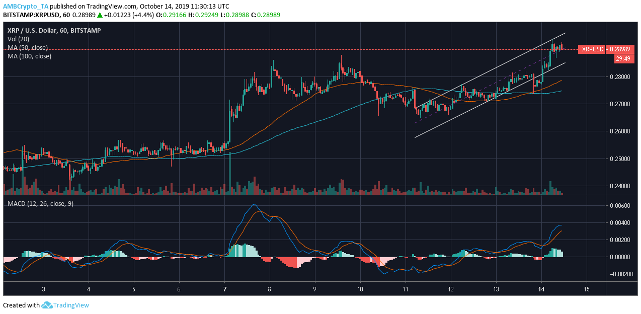 资料来源：TradingView上的XRP / USD