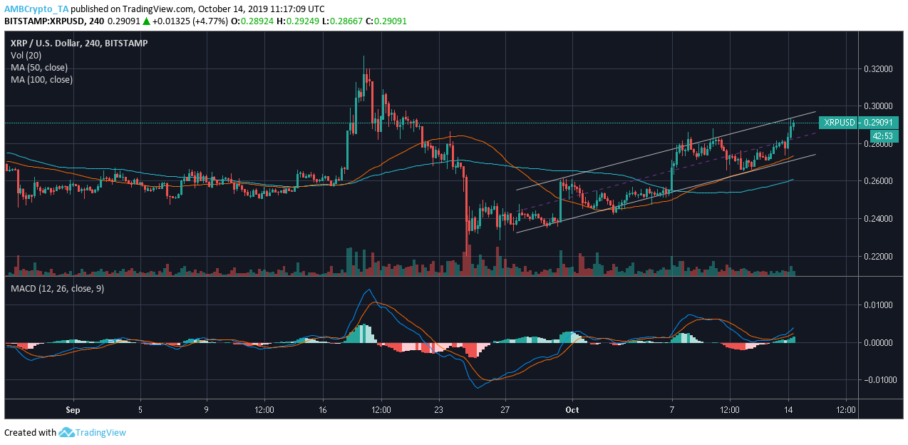 资料来源：TradingView上的XRP / USD