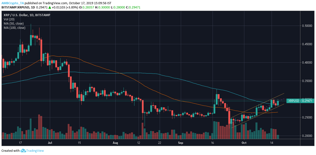 资料来源：TradingView上的XRP / USD