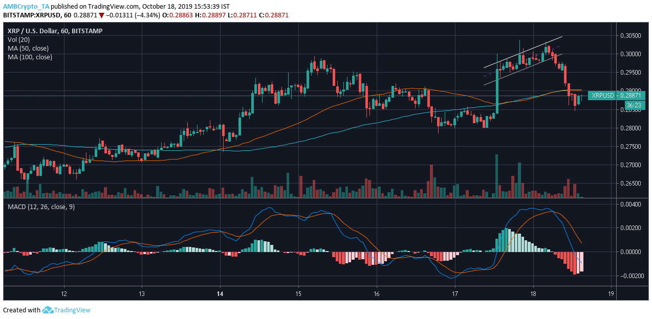 资料来源：TradingView上的XRP / USD