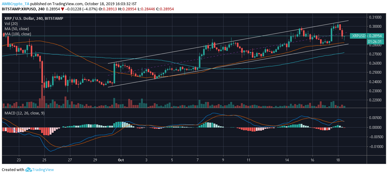 资料来源：TradingView上的XRP / USD