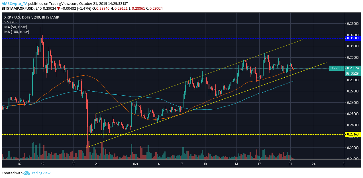 资料来源：TradingView上的XRP / USD