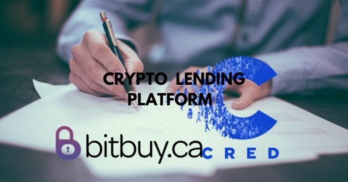 Bitbuy和Cred推出加密货币贷款平台