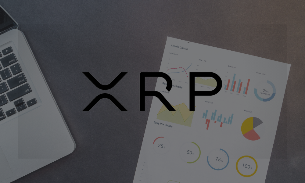 XRP牛市