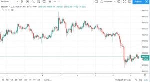 BTCUSDBitstamp。资料来源：TradingView