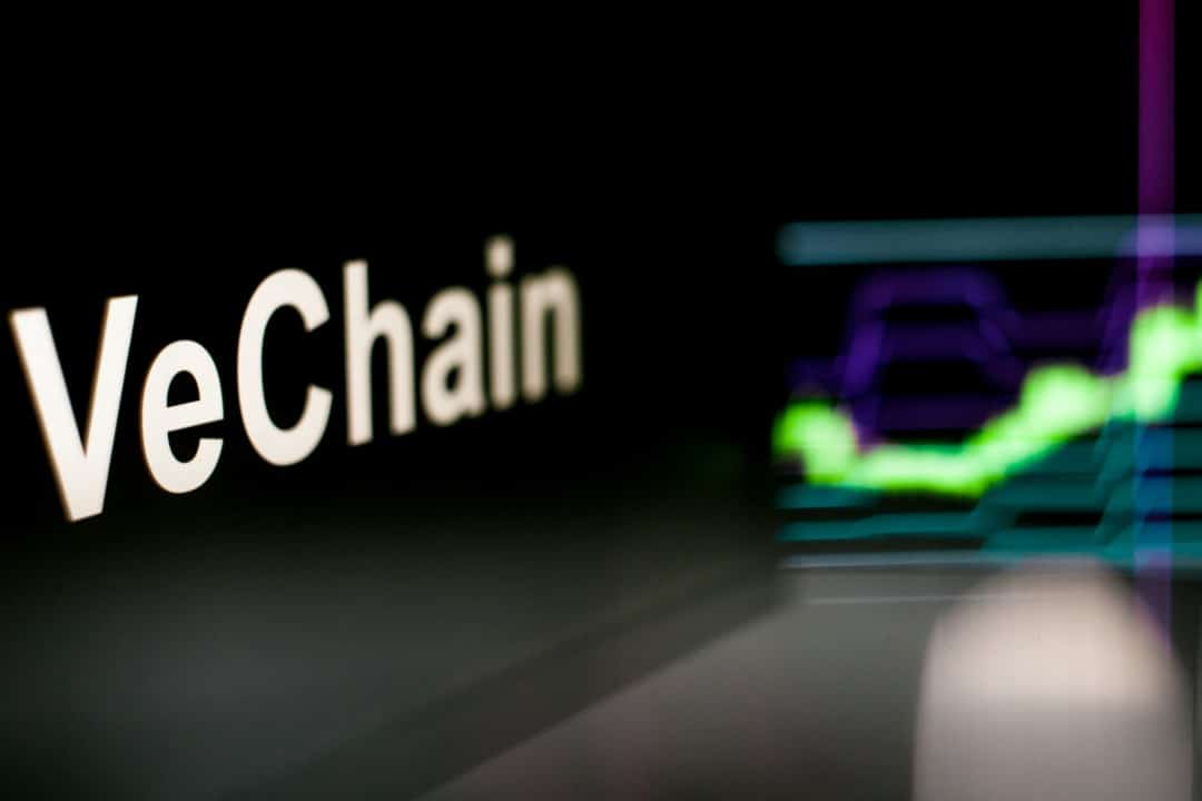 Vechain兽医价格