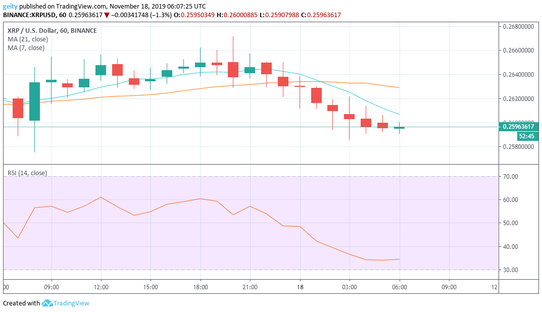 XRP价格分析11/18