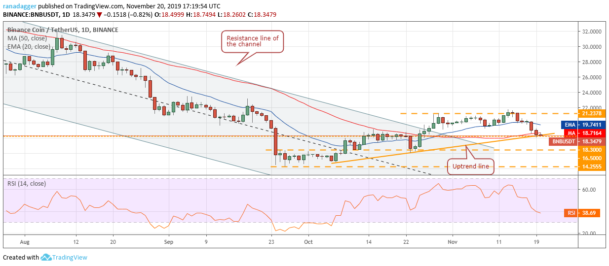 BNB USD每日K线走势图。资料来源：Tradingview