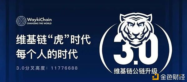 维基链2020年大汇总直击2021新兴盛