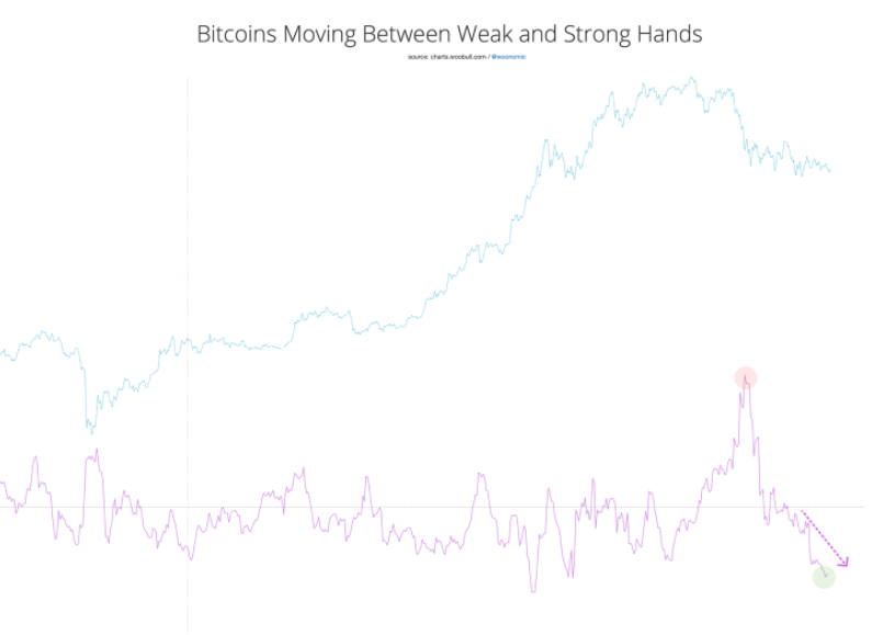 比特币的价钱将反弹，由于它在 bitfinex 崩盘时做空了 25%